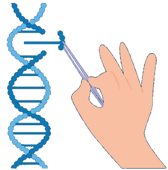 CRISPR – CAS9 - DexPatent blog